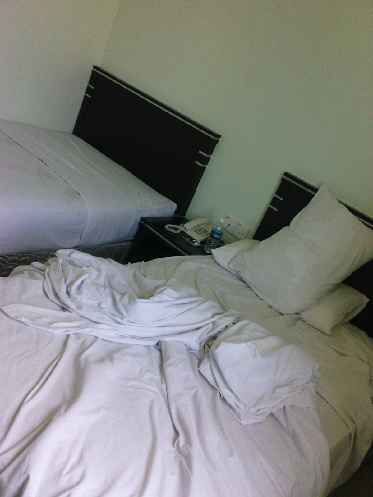 [DSC00554.JPG]