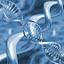 Qual o DNA da sua marca?
