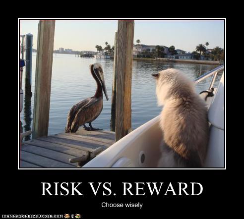 [risk+v+reward.jpg]