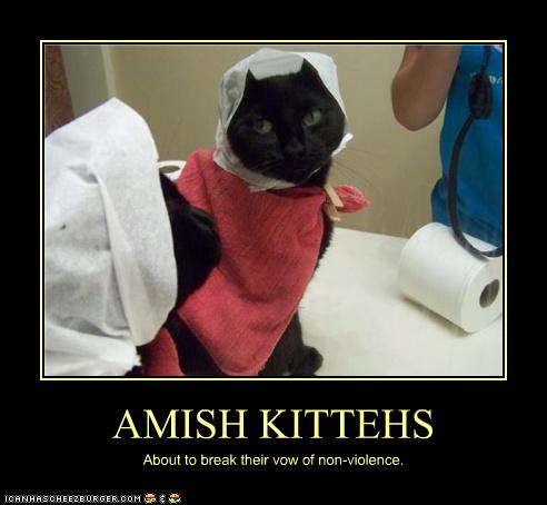 Amish Jokes