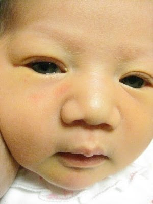 garden of epicurius by anatole france