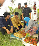 Ikang Fawzi, Zainuddin Hasan, Pilkada Lamsel