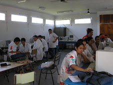 Alumnos realizando el proyecto de Página Web