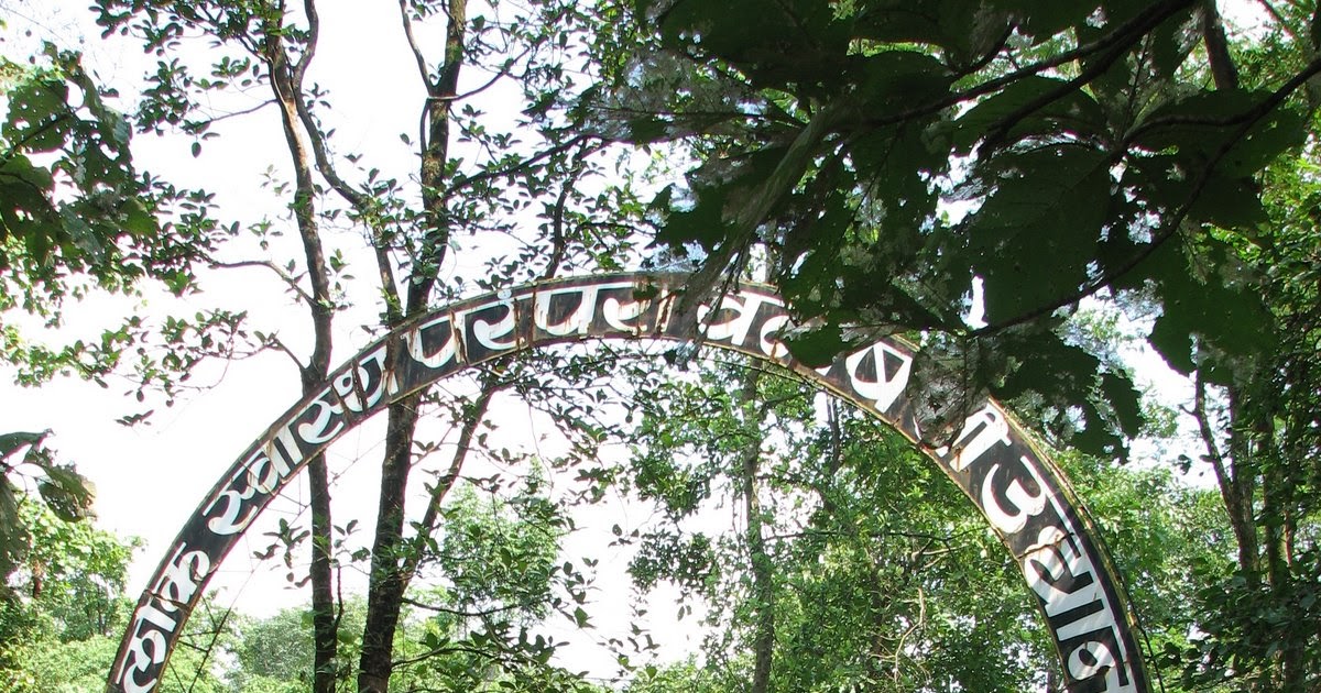 Karjat Ayurvedic Plant Nursery in Kashele