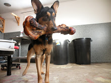 Apollo and his big bone