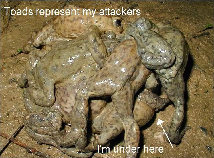 [rapetoads.JPG]