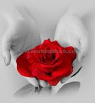 Una rosa para ti