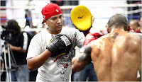 Pacquiao vs Cotto News, Pacquiao vs Cotto Online Live Streaming
