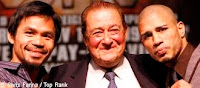 Pacquiao vs Cotto Online Live Streaming