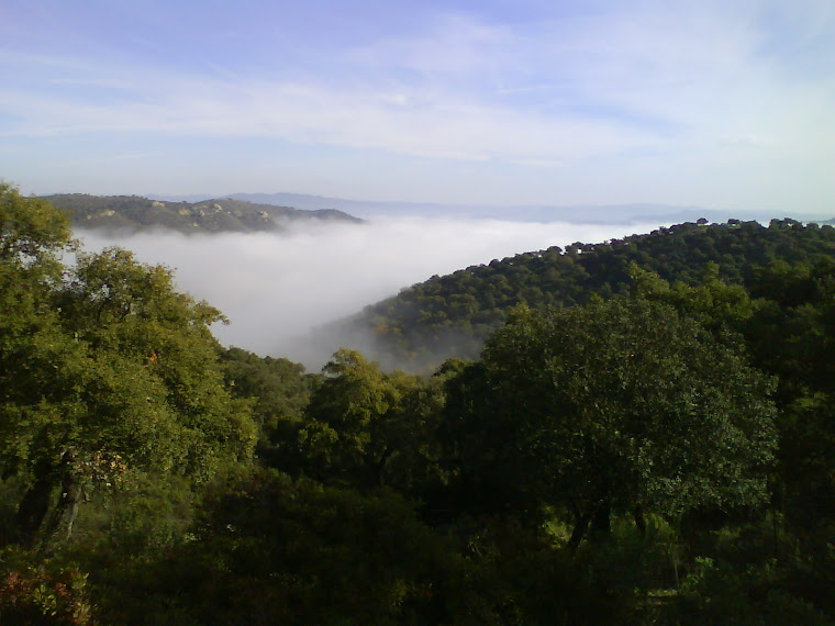 Otoño en la Sierra