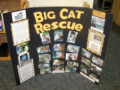 Palisades Park Library&#8217;s Weblog Features Big Cat Rescue esl 1