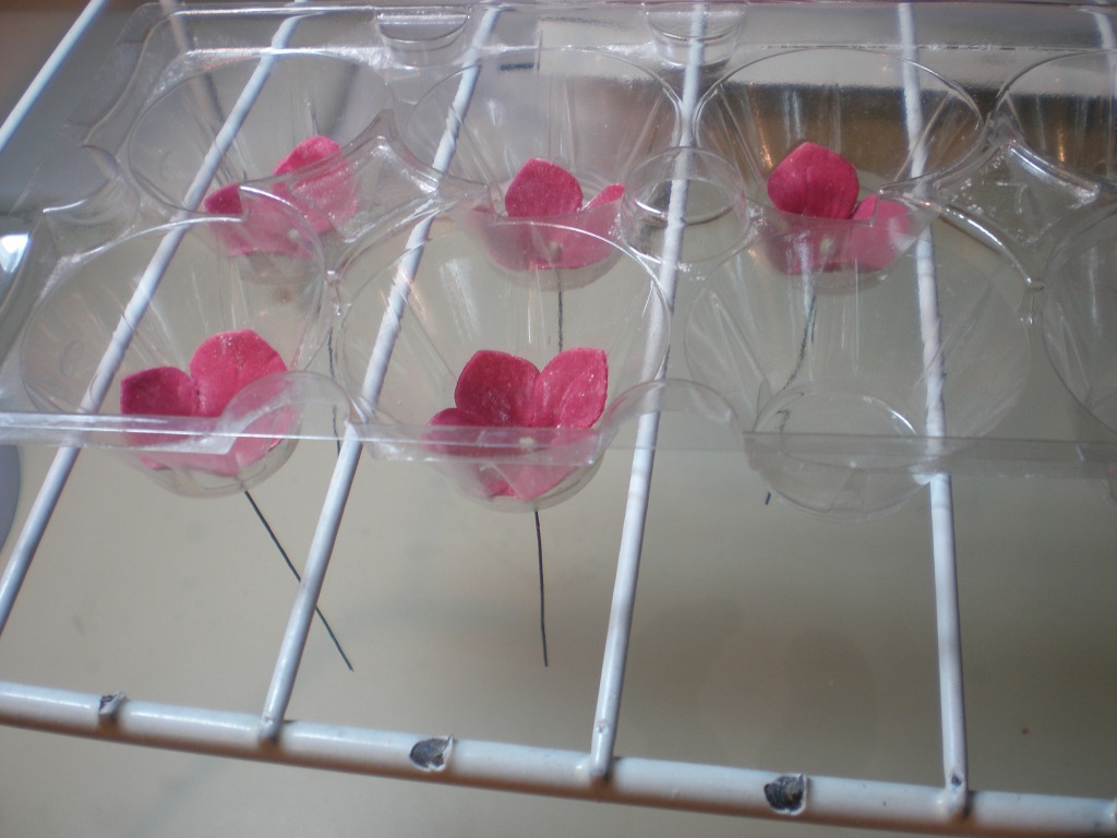 [hydrangeas+drying.jpg]