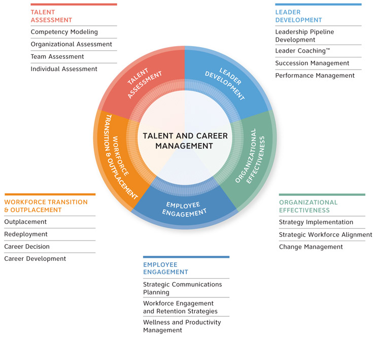 talent management and career development Career management linking talent and career management depending on the target audience and explore opportunities for career development (self and others. talent management and career development Career management linking talent and career management depending on the target audience and explore opportunities for career development (self and others.
