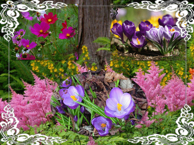 http://2.bp.blogspot.com/_ZAokmQ-vBeg/SSms4eopJJI/AAAAAAAAAMY/W8YNFKFaiuw/s400/flores.gif