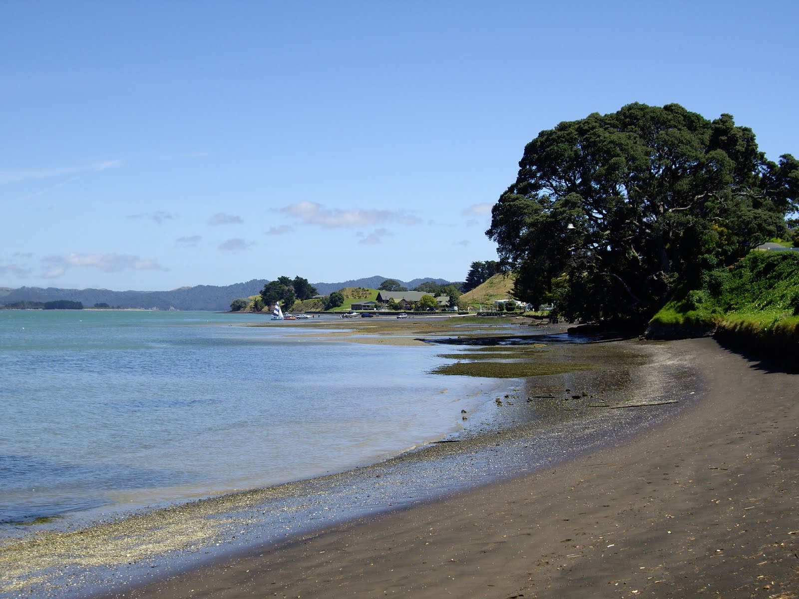 Beautiful World Kawhia Harbour