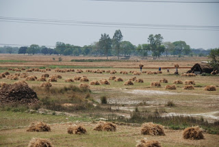 Varanasi+indian+restaurant+ri