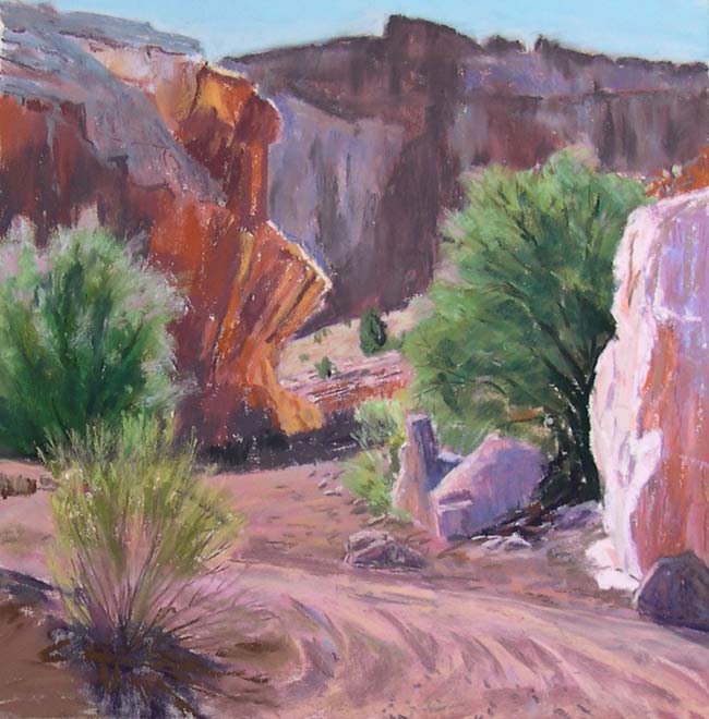 [tamarisk-in-the-wash.jpg]