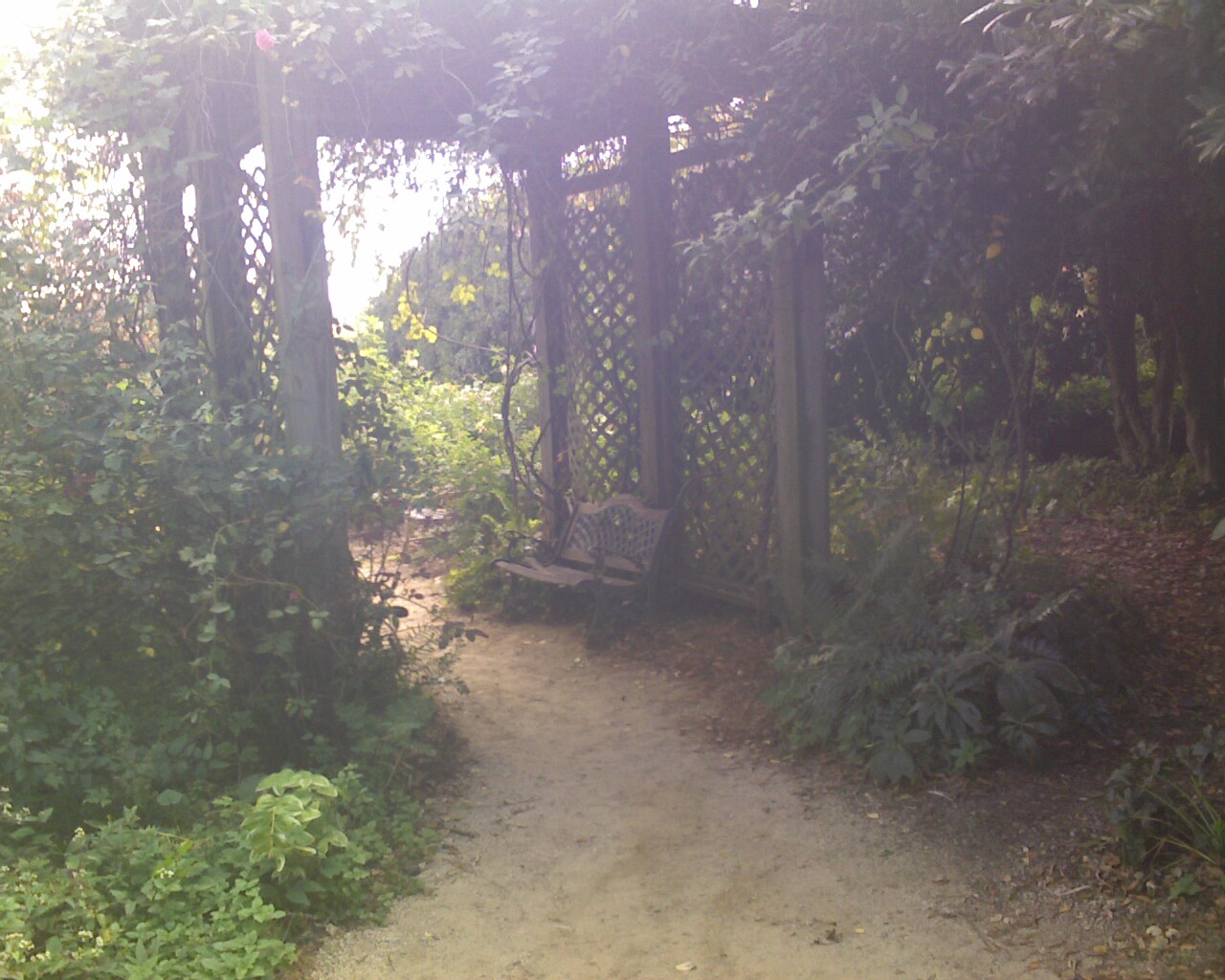 Style Perfect Events McGill Rose Garden in NoDa