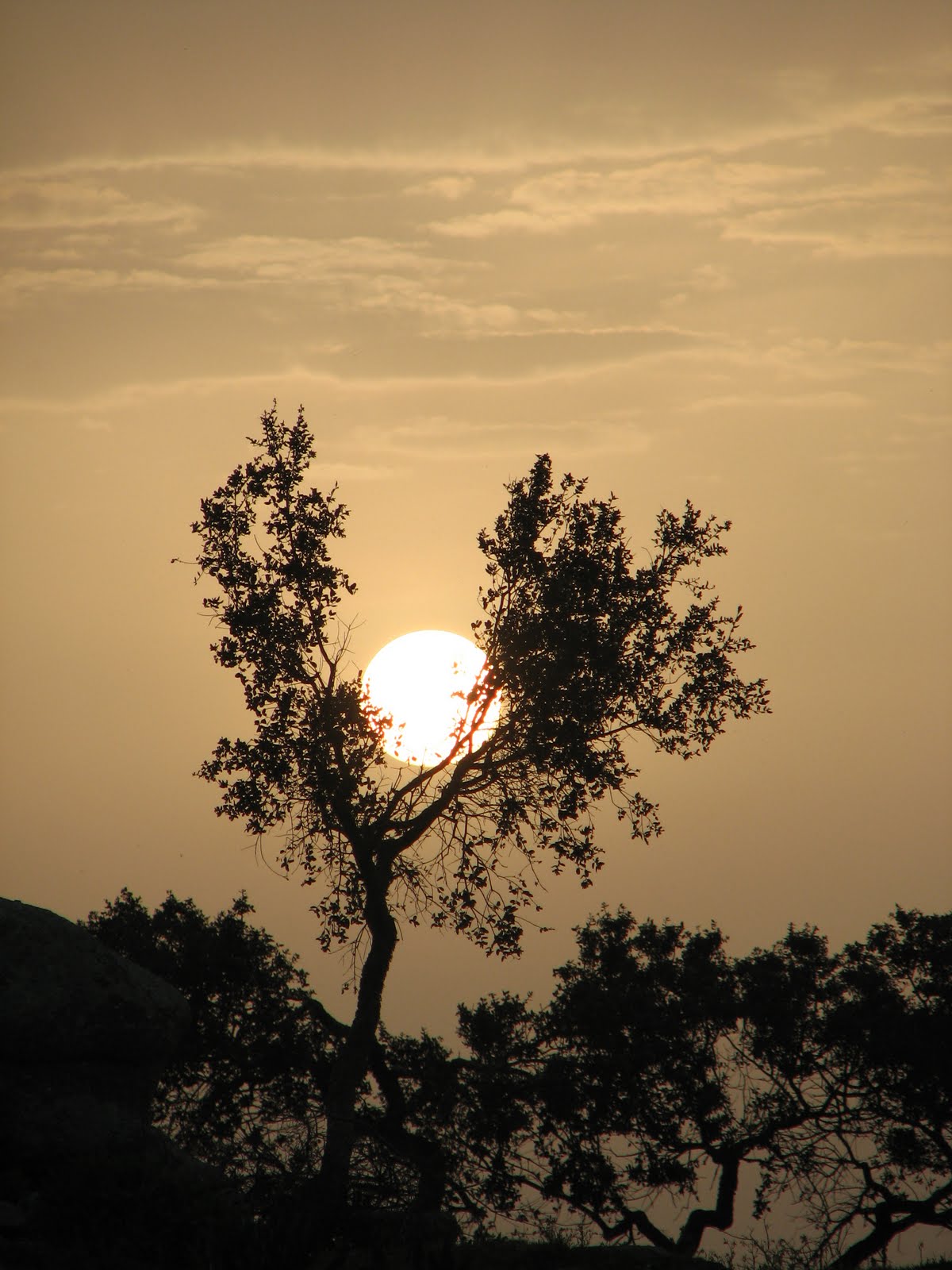 [IMG_1932.JPG]