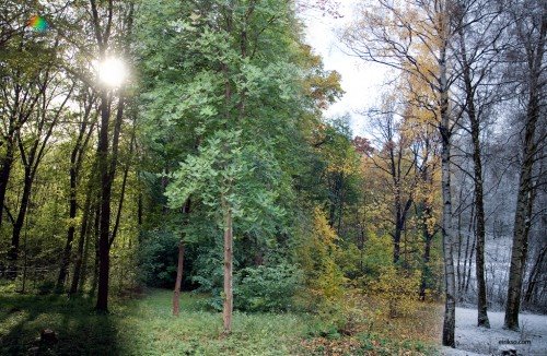 [seasons1024-500x326.jpg]