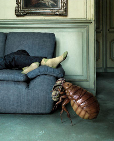 [Cockroach.jpg]