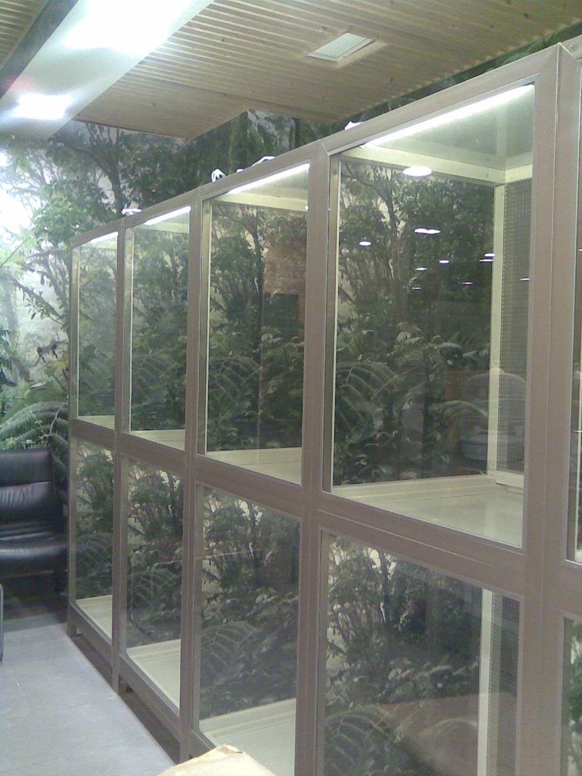 Desert Girl on Kuwait There is finally a REAL pet shop in Kuwait! PetZone