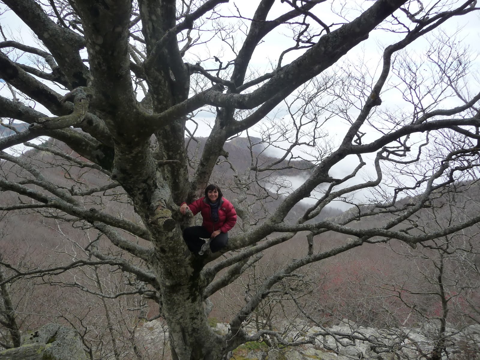 [P1080179.JPG]