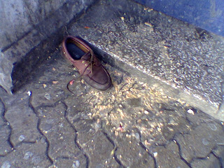 Shoe+in+sick.jpg