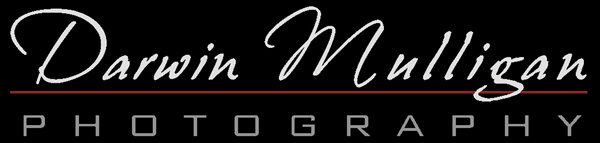 Darwin Mulligan - Edmonton Wedding Photographer