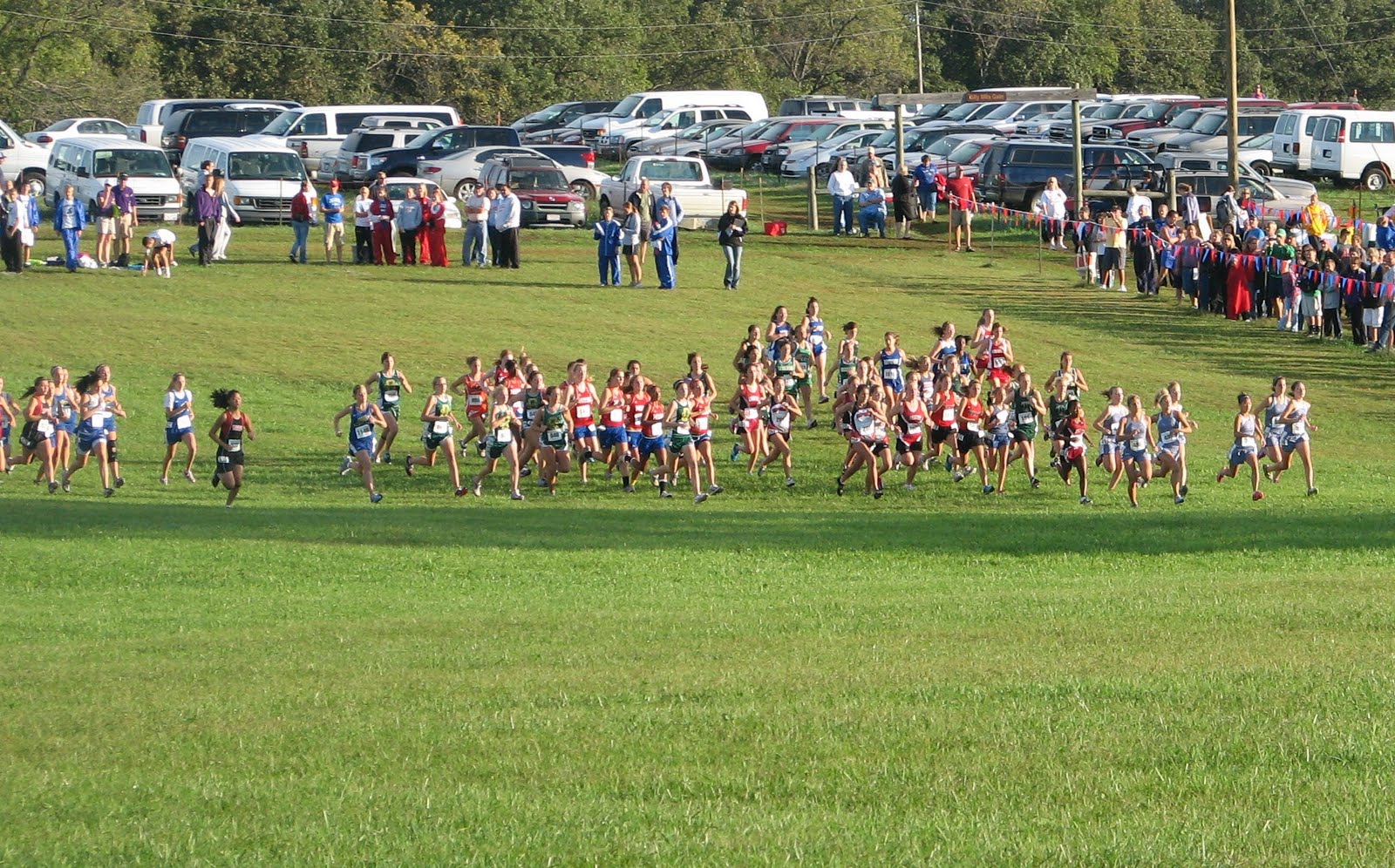 Premeditated Living Harriers and Rim Rock Farm