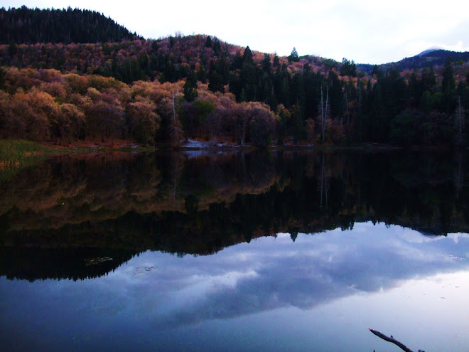 Lake Mirror