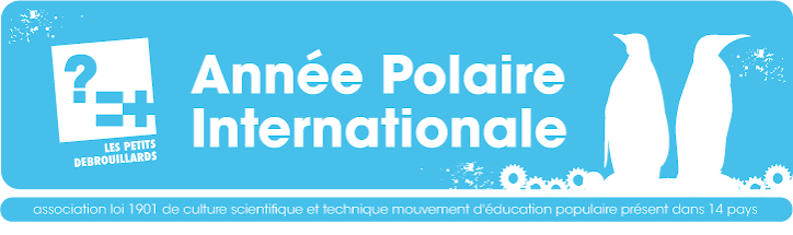 Année Polaire Internationale