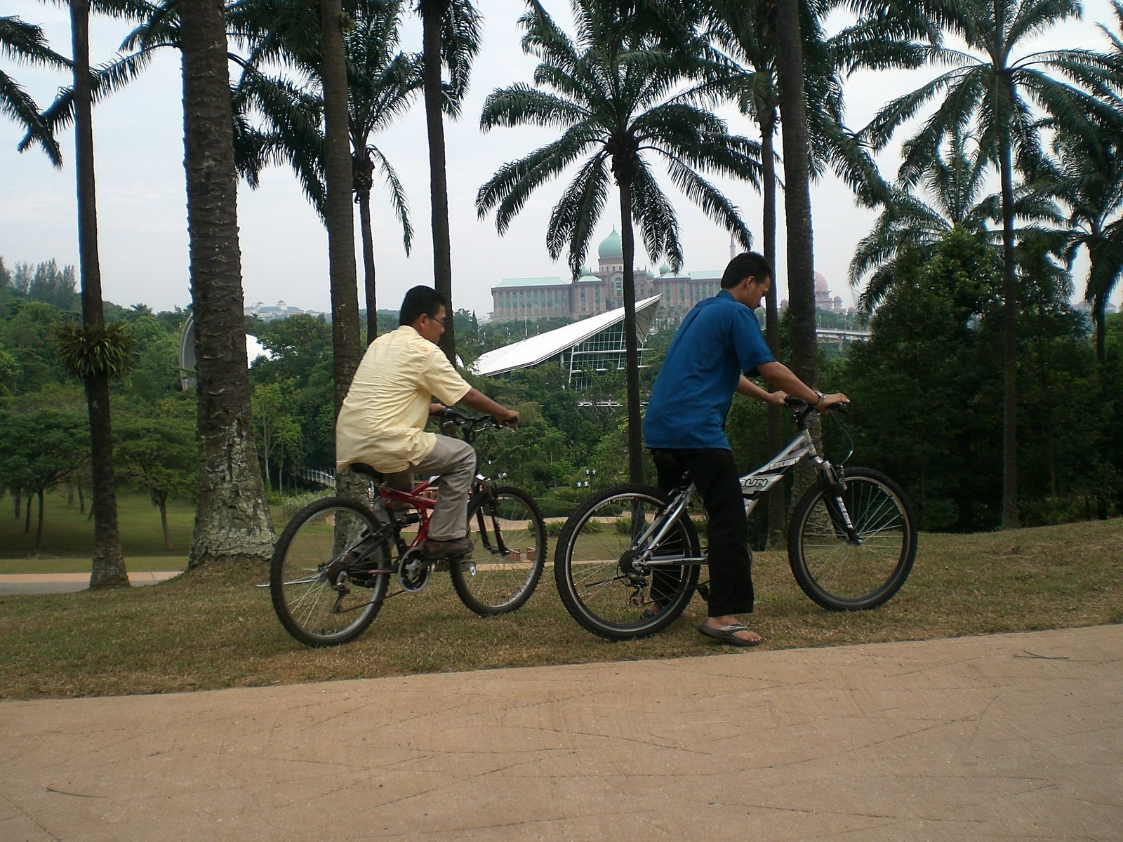 [CIMG8945.JPG]