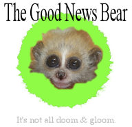 The Good News Bear