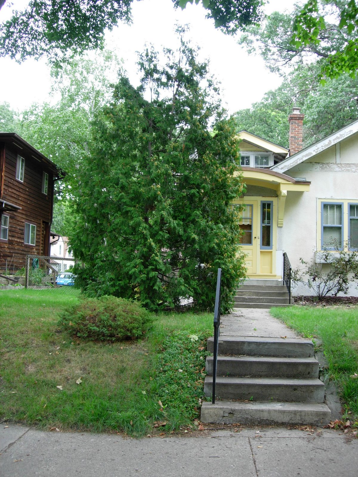 [With+Tree+Blog.jpg]