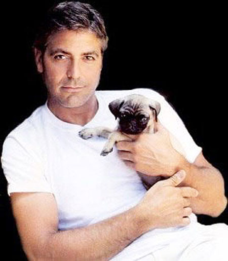 [georgeclooney.jpg]