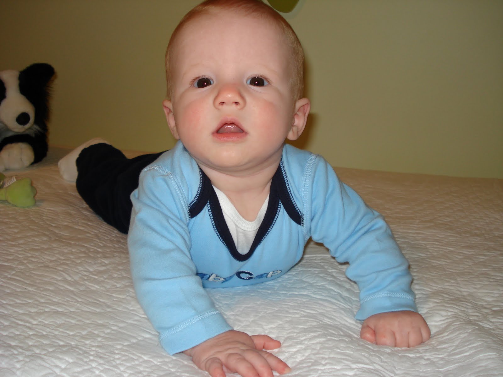 [DSC01799.JPG]