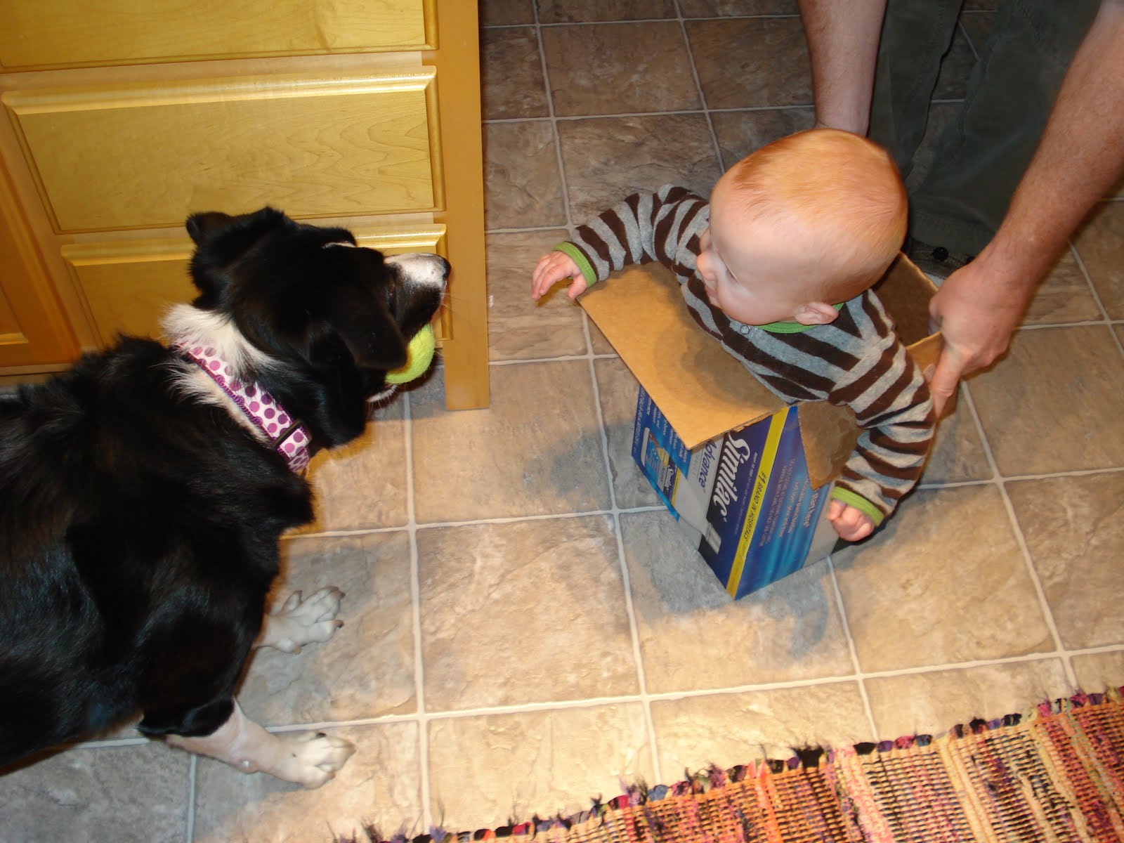 [DSC01876.JPG]