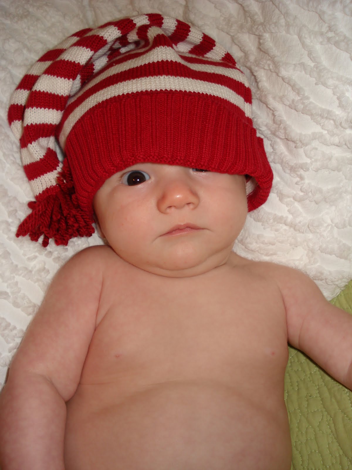 [DSC01560.JPG]
