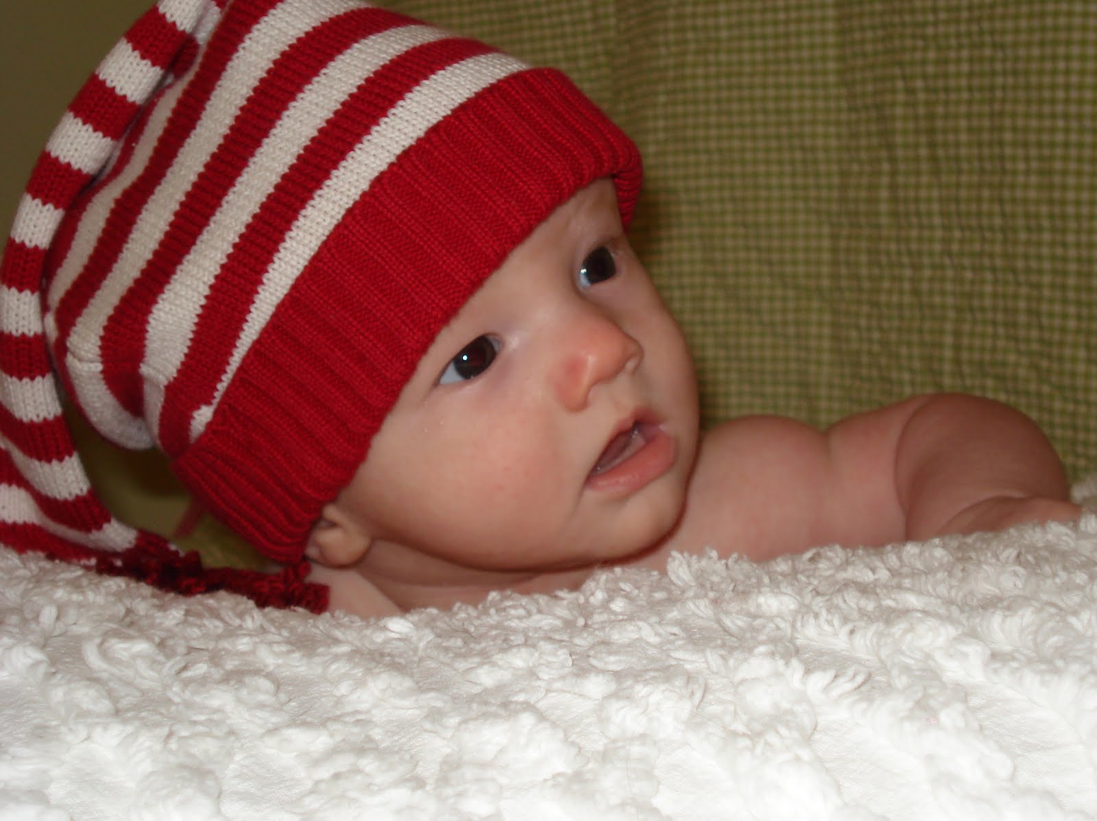 [DSC01570.JPG]