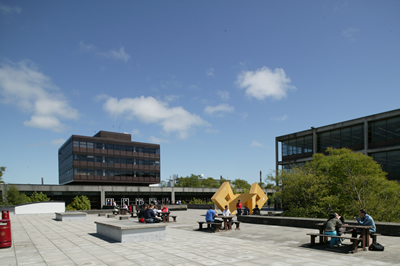 Listings Project in NUI