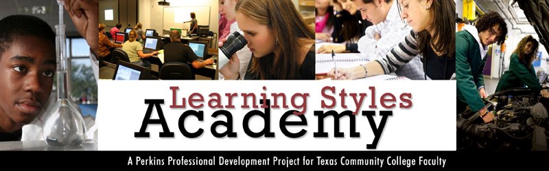 Learning Styles Academy