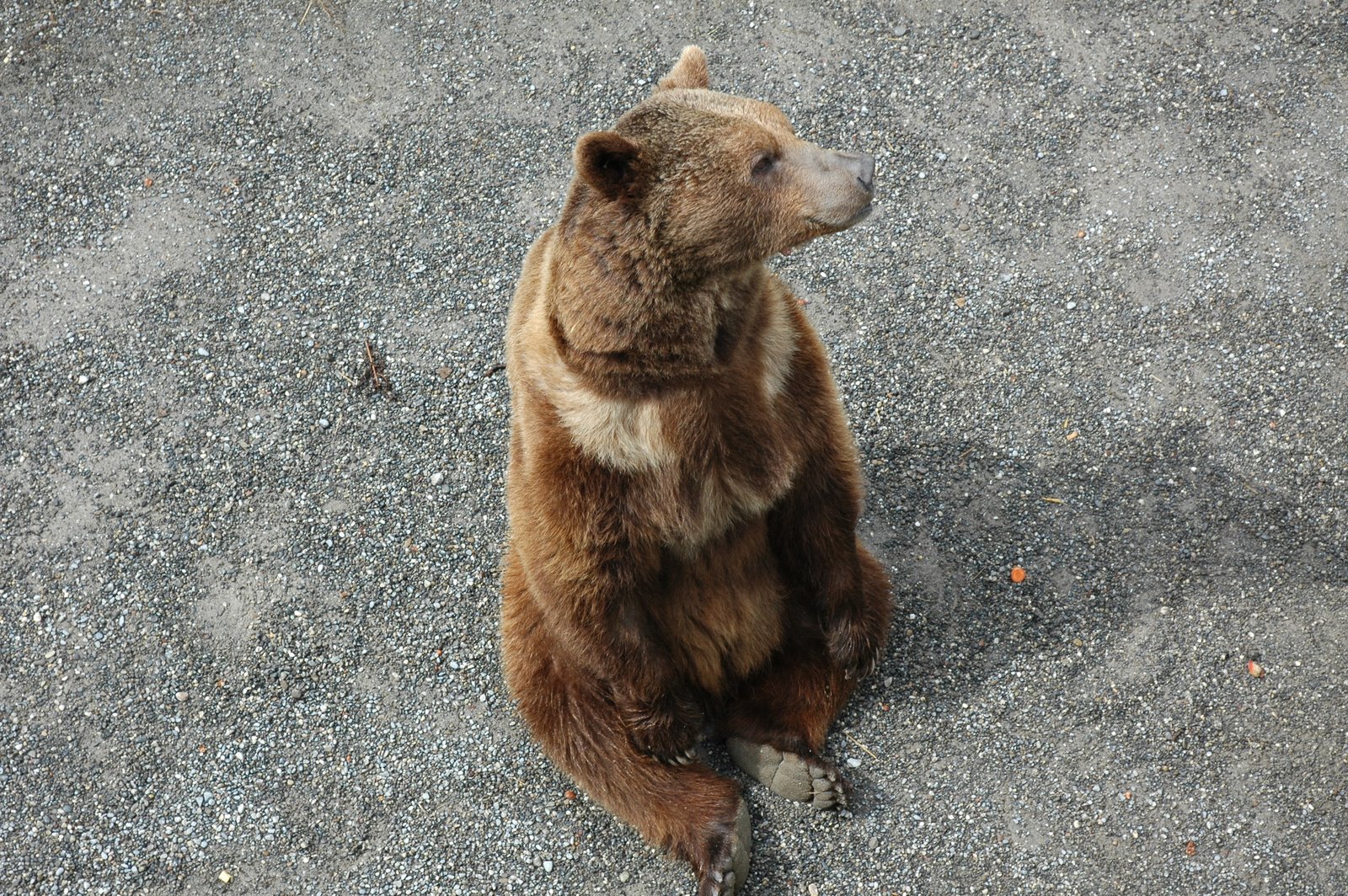 [DSC_0125.JPG]