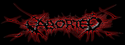 [213_logo.gif]