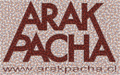 Arak Pacha Arak Pacha