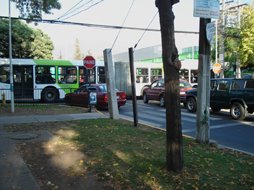 [Bus+troncal.JPG]