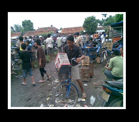 suasana di pasar burung