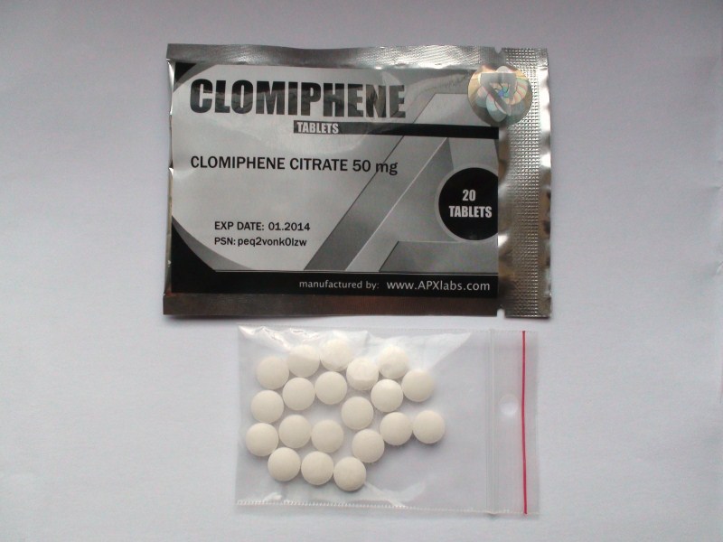 ciprofloxacin hcl india manufacturer