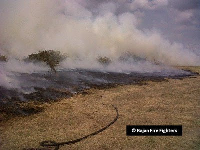 Grass fire at Cane Vale Crescent