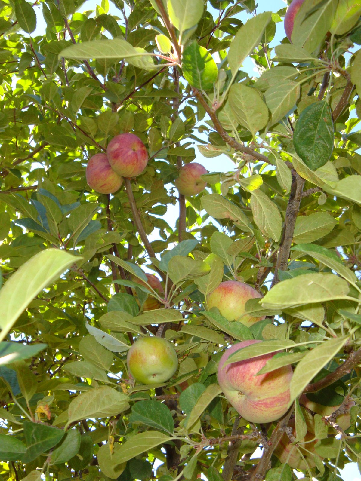 [SeptemberE2008+023.JPG]